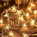 Flower Fairy Lights Battery Operated Indoor String Lights 30LED Cherry Blossom Lights Waterproof Decoration for Camping,Garden Fence,Birthday,Easter,Christmas,Wedding Party,Bedroom (Warm White)