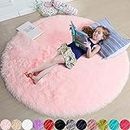 Amdrebio Pink Round Rug for Girls Bedroom,Fluffy Circle Rug 4'X4' for Kids Room,Furry Carpet for Teen Girls Room,Shaggy Circular Rug for Nursery Room,Fuzzy Plush Rug for Dorm,Cute Room Decor for Baby