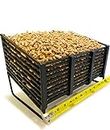 Small Pellet Basket, Heating Source Using Wood Pellets in Your Wood Stove or Fireplace
