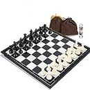 Joneytech Travel Chess Set for Kids and Adults, 3 in 1 Magnetic Chess Board for 3D Chess Checkers Backgammon Game Set 9.8‘‘ with Storage Bag, Portable Folding Board Game Toys