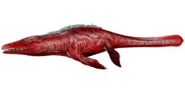 Mosasaurus (Mosa) Baby Pair Ark Survival Ascended ASA PVE Official