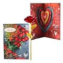 ARCHIES Valentine Day My Love Red Rose & Card Gift for Girlfriend, Boyfriend, Lover, Couples, Husband, Wife | Birthday | Valentines Day | Anniversary VLRR08