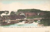 Northwestern Lumber Co. Saw Mill McDonough Plant Eau Claire Wisconsin c1905 PC