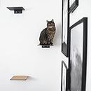 LucyBalu® Katzentreppe Wand Innen & Außen 3er Set | Kletterwand für Katzen | Wandpark für Katzen bis 10kg | Katzenleiter mit Anti-Rutsch Beschichtung | 3 Katzenstufen Wandbefestigung | XL Anthrazit