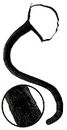 Black Cat Tail Costume Accessory Neko Long Furry Tails Sexy Women Costume for Halloween & Cosplay Adult / Adults