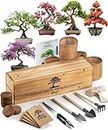 Avergo Bonsai Tree Kit – 5X Unique Japanese Bonzai Trees | Complete Indoor Bonsai Starter Kit for Growing Bonsai Plants with Tools & Planters – Gardening Gifts for Women & Men