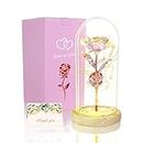 TINYOUTH Colourful Rose in Glass, 24K Eternal Rose in Glass with Lighting Batteries Includes Beauty and the Beast Rose