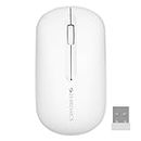 ZEBRONICS Pulse Wireless Mouse, Multi Connectivity, Dual Bluetooth, for Mac, Laptop, Computer, Tablet, 2.4GHz, 1200 DPI, Comfortable & Lightweight (White)