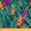 Loussiesd Tela de tapicería de hojas tropicales por The Yard, sillas de tela exóticas florales de hojas de plátano, hojas de palma, flores de selva y proyectos de bricolaje, 1 yarda, 92 x 150 cm,