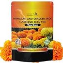 NatureZ Edge, Marigold Seeds, Marigold Seeds for Planting Outdoors, 1 Ounce 10,000 Seeds, Hawaiian and Cracker Jack Marigold Seeds, Marigolds Seeds, African Marigold Seeds, Giant Marigolds Seeds Bulk
