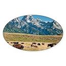 CafePress Herd of American Bison Oval Bumper Sticker, Euro Oval Car Decal