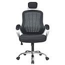 LiuGUyA Boss Chair Home Office Desk Chairs Video Game Chairs Mesh Adjustable Headrest Lumbar Support 3D Armrest Office Chair Dark Black