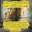 Tips On: Safeguarding Your Home From Lead:: Essential Tips for Family Safety - Lead-Free Living: How to Protect Your Family in an Older Home