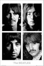 The Beatles White Album Poster - 24" x 36"