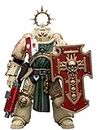 HiPlay JoyToy Warhammer 40K Collectible Figure: Dark Angels Bladeguard Veteran 1:18 Scale Action Figures JT7967 (Dark Angels Bladeguard Veteran)