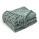 CozeCube Chenille Throw Blanket for Couch, Cozy Soft Throw Blanket with Fringe Tassel, Sage Green Throw Blanket for Sofa Chair Gift,Decorative Chunky Chenille Throw Blanket 50"X60"