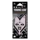 Treefrog Young Leaf Panda J9 deodorante per auto profumo di zucca JDM