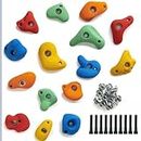 White Tech Rock Climbing Holds for Kids | Pack of 15 Resin Rock Climbing Holds for Indoor Outdoor Playground Climbing Wall Mounting with Hardware Kit