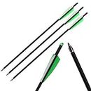 I-sport Archery Carbon Crossbow Arrows 22 Inch with 4" Vanes and Replaceable Field Points Crossbow Bolts 12 Pack