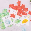 DIY Cute Office Supplies Memo Pad Sticky Notes Leaf Shape Paster Sticker