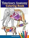 Veterinary Anatomy Coloring Book: Animals Physiology Self-Quiz Color Workbook for Studying and Relaxation | Perfect gift For Vet Students and even Adults