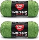 Red Heart Super Saver Jumbo Spring Green, 2 Pack 14oz/396g-Acrylic-#4 Medium-744 Yards, Knitting/Crochet