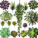 15 piezas Plantas Suculentas Artificiales - Planta Viva de Interior para Casa/Oficina Falsa