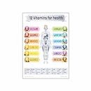 Anne Print Solutions® 12 Vitamins For Health Poster For Hospital Poster | Nursing Home Poster | Clinic Poster Pack Of 1 Pcs Size 13 Inch X 19 Inch*